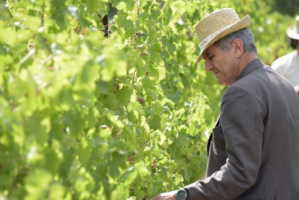 a_il-borro-vendemmia-2016_ph-marcobadiani-3